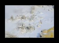 Sulfur Calderon (Yellowstone NP, Wyoming, USA)